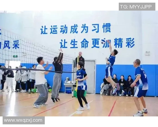 成都排球队的拼搏之路挑战赛背后的故事与荣耀 成都排球队的拼搏之路挑战赛背后的故事与荣耀