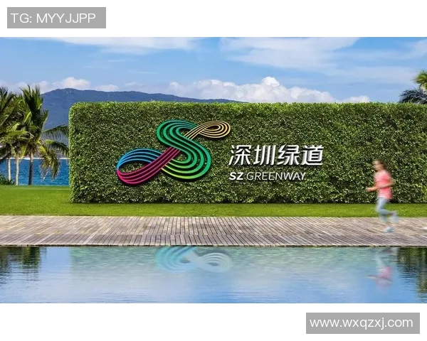 成都网球队团队协作的创新实践与热议探索之路